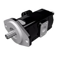 Cast Iron Pumps - PGP315 Series